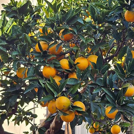 L'Arancio B&B Cecchina 외부 사진